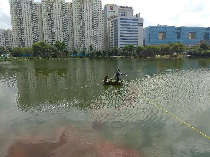 A water restoration project at an urban lake