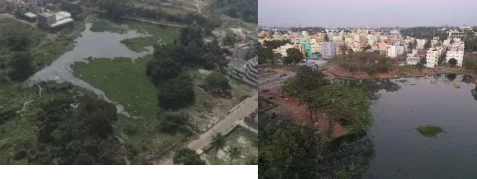 Shivapura Lake before and after restoration